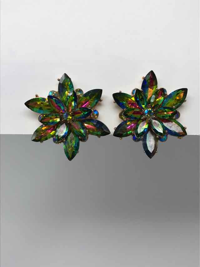 Fashion Multi-Color Earrings - Style Plus Consignment Boutique